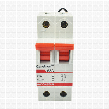 Caretron 63 Amp Double Pole Isolator